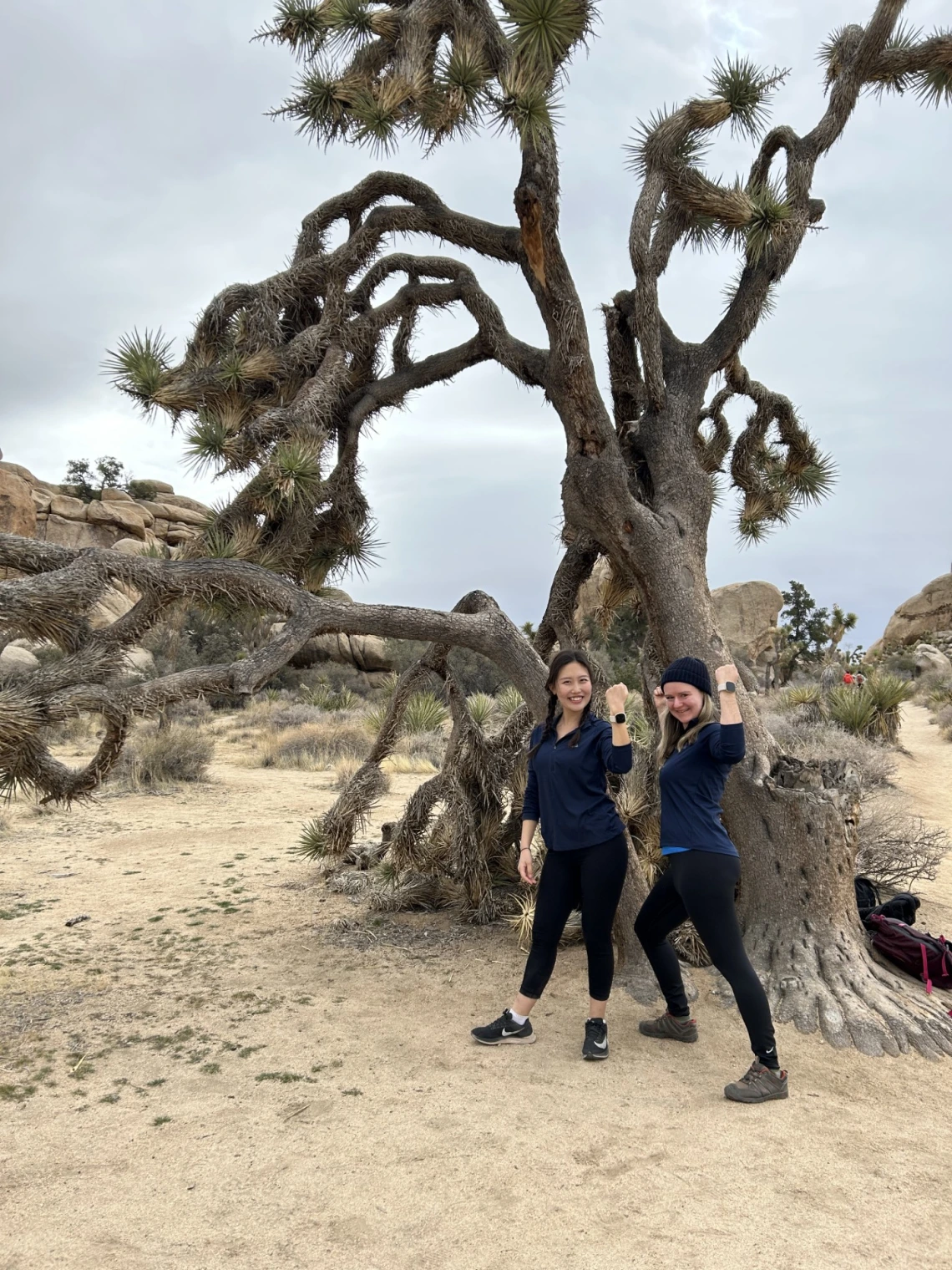 Insomnia Lab members, Kelly and Jackie, at Joshua Tree National Park!